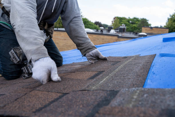 Best Metal Roofing Contractor  in Hydesville, CA