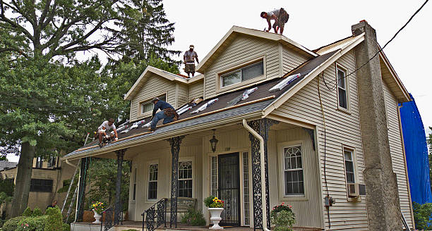 Best Roof Maintenance Services  in Hydesville, CA