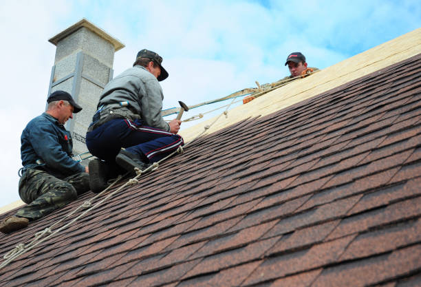 Best Best Roofing Contractors  in Hydesville, CA